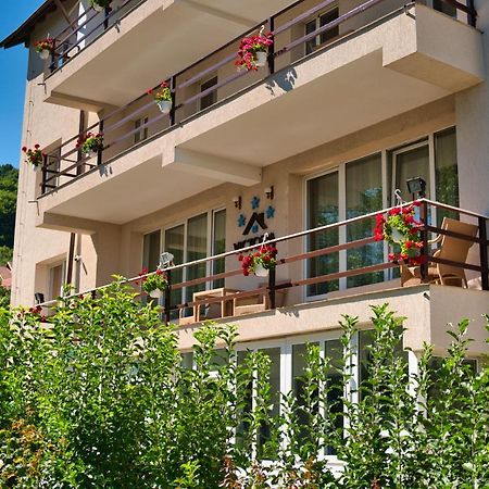 Vila Victoria Ramnicu Valcea Bagian luar foto