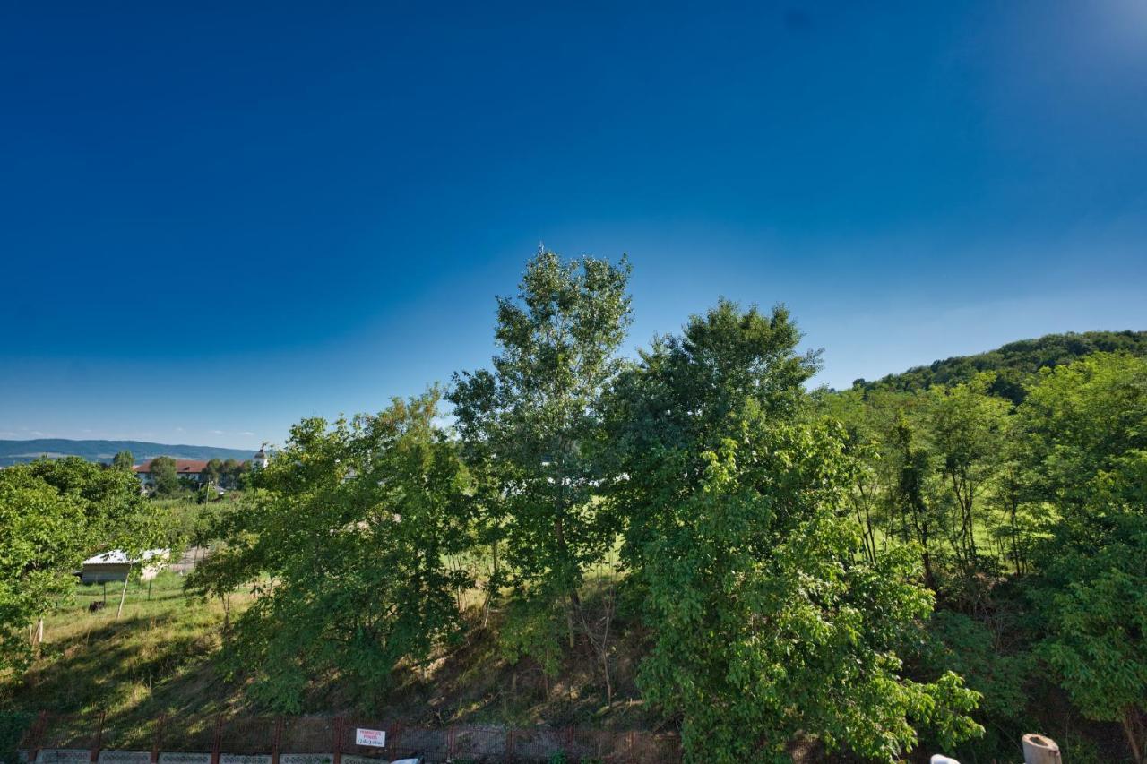 Vila Victoria Ramnicu Valcea Bagian luar foto