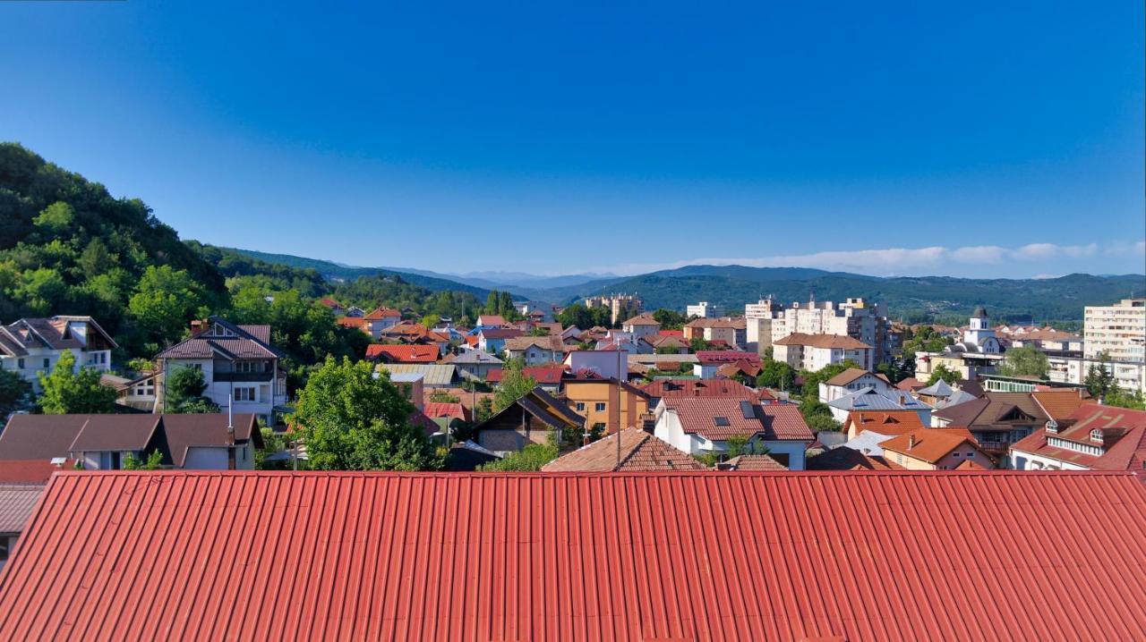 Vila Victoria Ramnicu Valcea Bagian luar foto