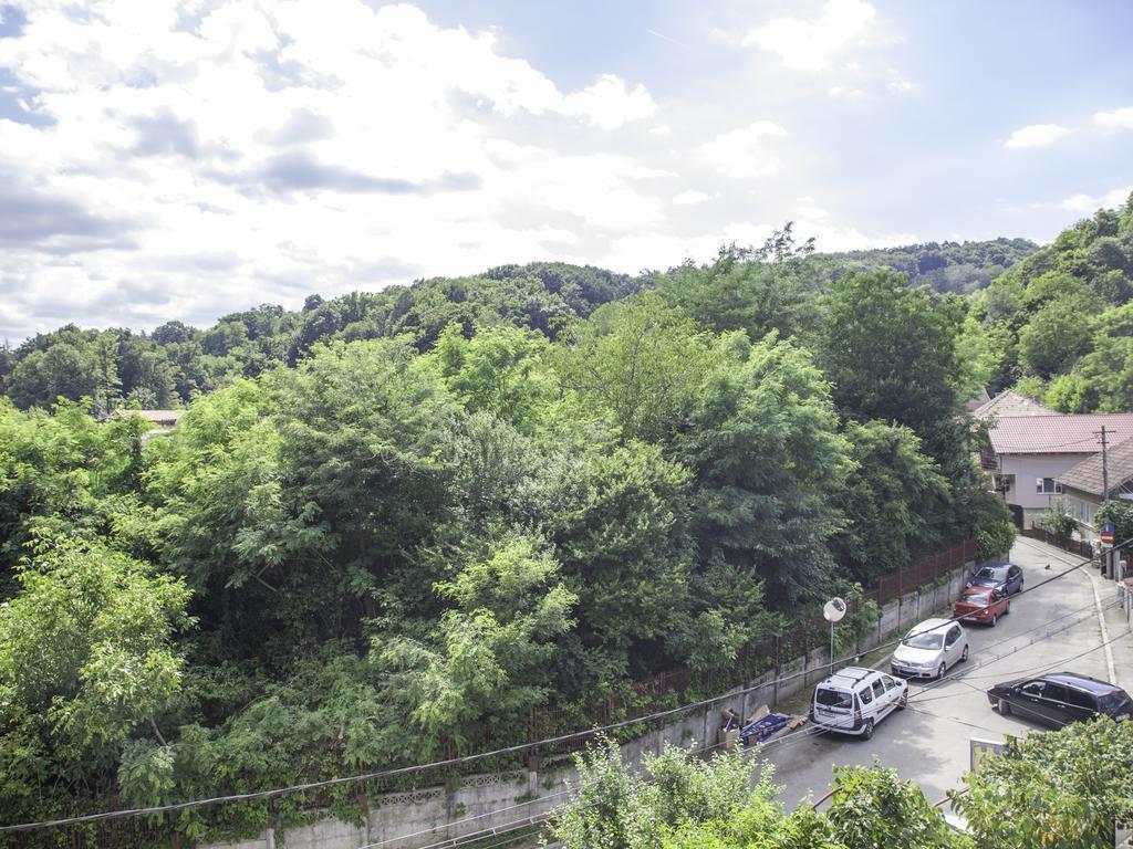 Vila Victoria Ramnicu Valcea Bagian luar foto